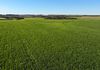 515 Napier Road, Dalyup