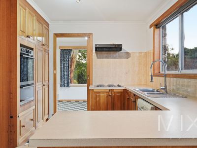 20 Jordan Downs Drive, Brighton