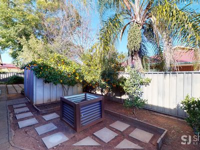 7 Hamilton Close, Dubbo