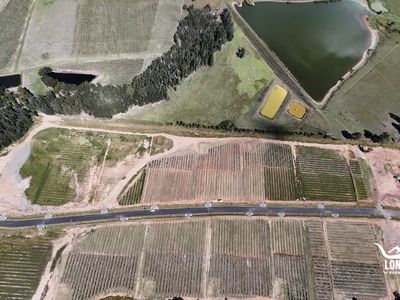 Lot 7 - POKOLBIN ESTATE, McDonalds Road, Pokolbin