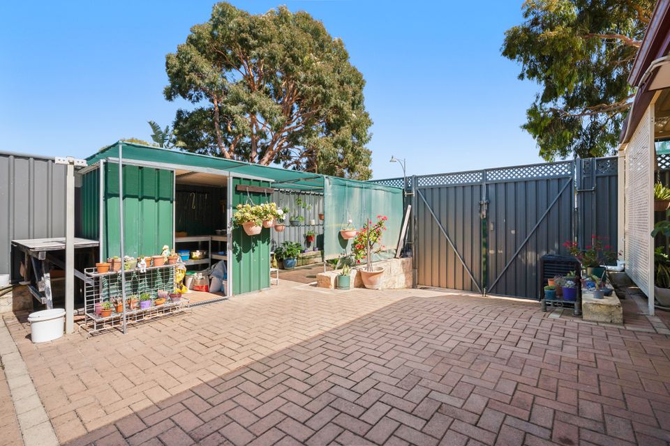 17 Bettong Street, Baldivis