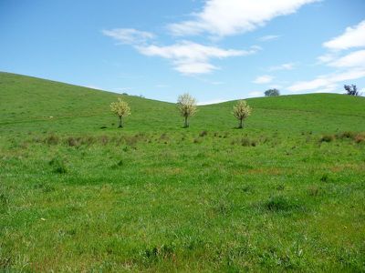 Tallys Road, Bullioh