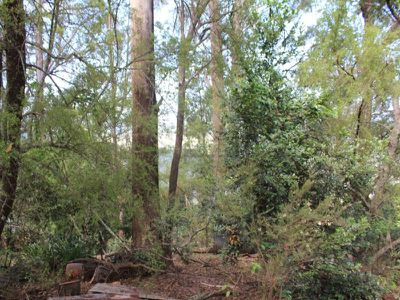 1730 Nowra Road, Kangaroo Valley