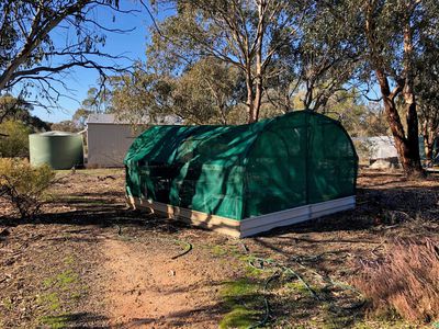 814 Brenanah-Wehla Road, Brenanah