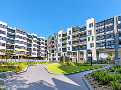 501 / 40 Mcevoy Street , Waterloo