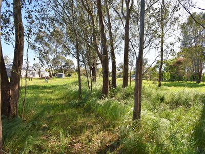 Lot 2, 33 Ely Street, Oxley