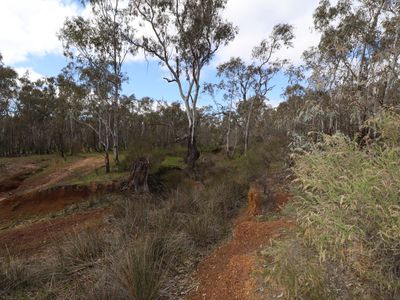 Lot 2 Davis Road, Mount Camel