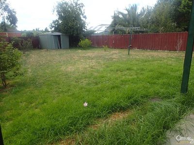 55 Terrapin Drive, Narre Warren South