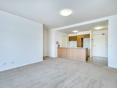 242 / 36 Philip Hodgins Street, Wright