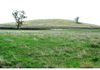 227 Emu Swamp Road, Lucknow