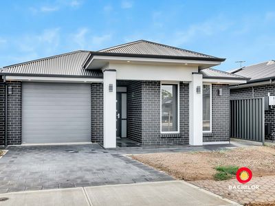 13 Gaynor Avenue, Paralowie