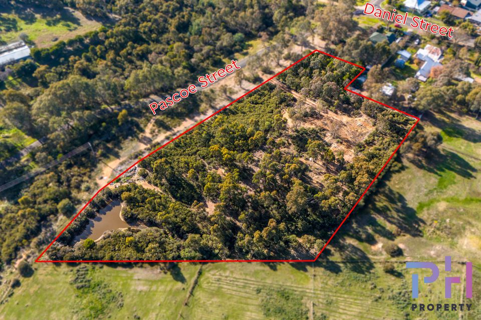 7 Pascoe Street, Long Gully