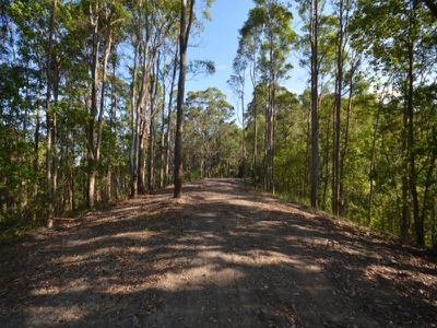 135 West Eumundi Road, Eerwah Vale