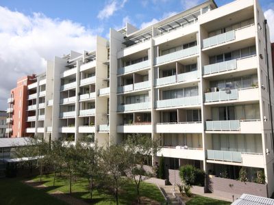 51 / 37 Morley Avenue, Rosebery
