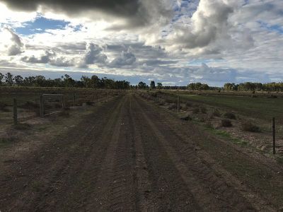 46 Browning Avenue, Murrabit