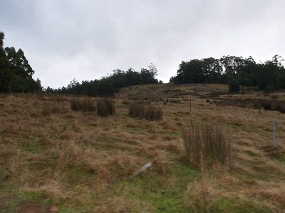 591 Toby's Hill Road, Cygnet