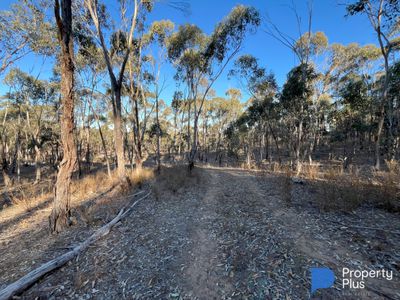 Lot 13, Moliagul Drive, Moliagul