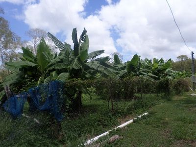 3146 Endeavour Valley Road, Cooktown