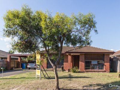 11 Jasper Court, Hampton Park
