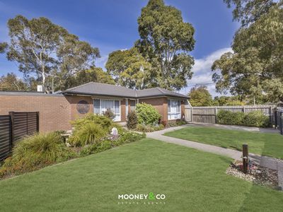 16 James Cook Drive, Cranbourne