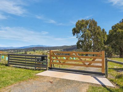 330 Sugarloaf Road, Carlton River