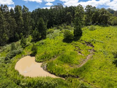 345 Blue Knob Road, Nimbin