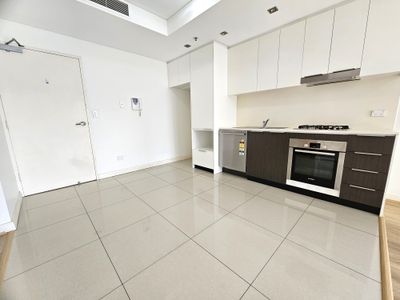 a304 / 1-17 Elsie Street, Burwood