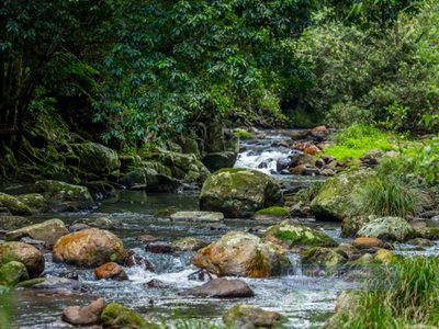 150 Upper Wilsons Creek Road, Upper Wilsons Creek