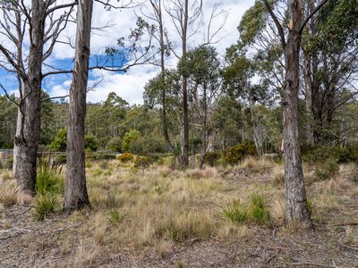 6 Brewis Place, Lake Leake