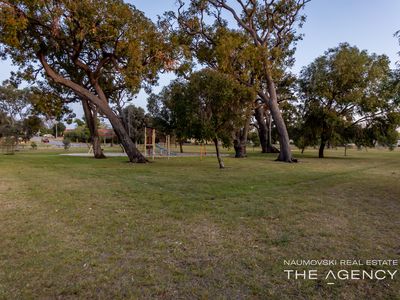 61 Sylvia Street, Nollamara