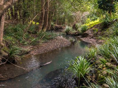 38 Cooloon Street, Kunghur