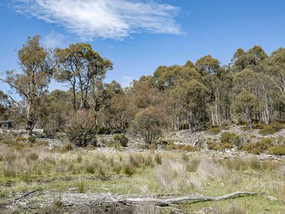 22 Arthurs Lake Road, Wilburville