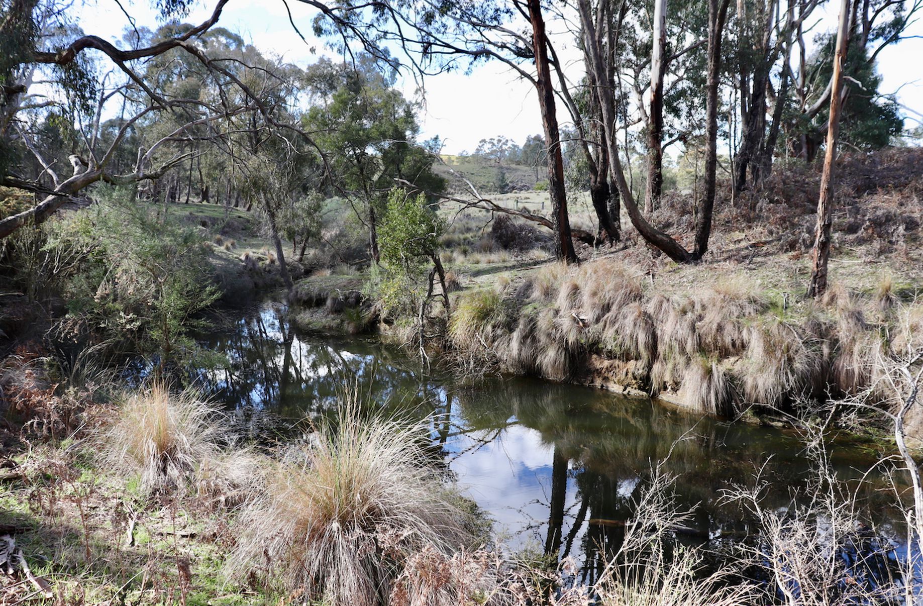 Lot 13, 13A, 13B, 31A &, 31C BRIDGE ROAD, Grenville