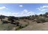 86 Frewin Road, Orange