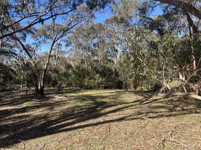 145 Kestel Road, Humbug Scrub