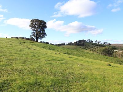 Drummond Lane, Heathcote