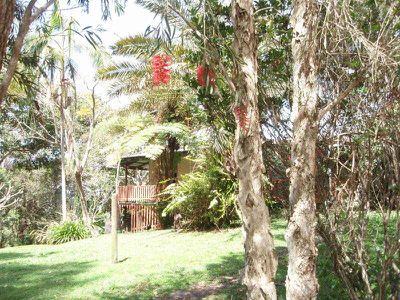 174 Billinudgel Road, Billinudgel