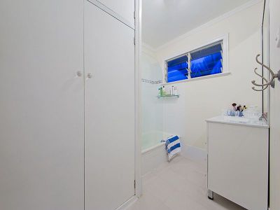 17 Bushing Street, Wynnum West