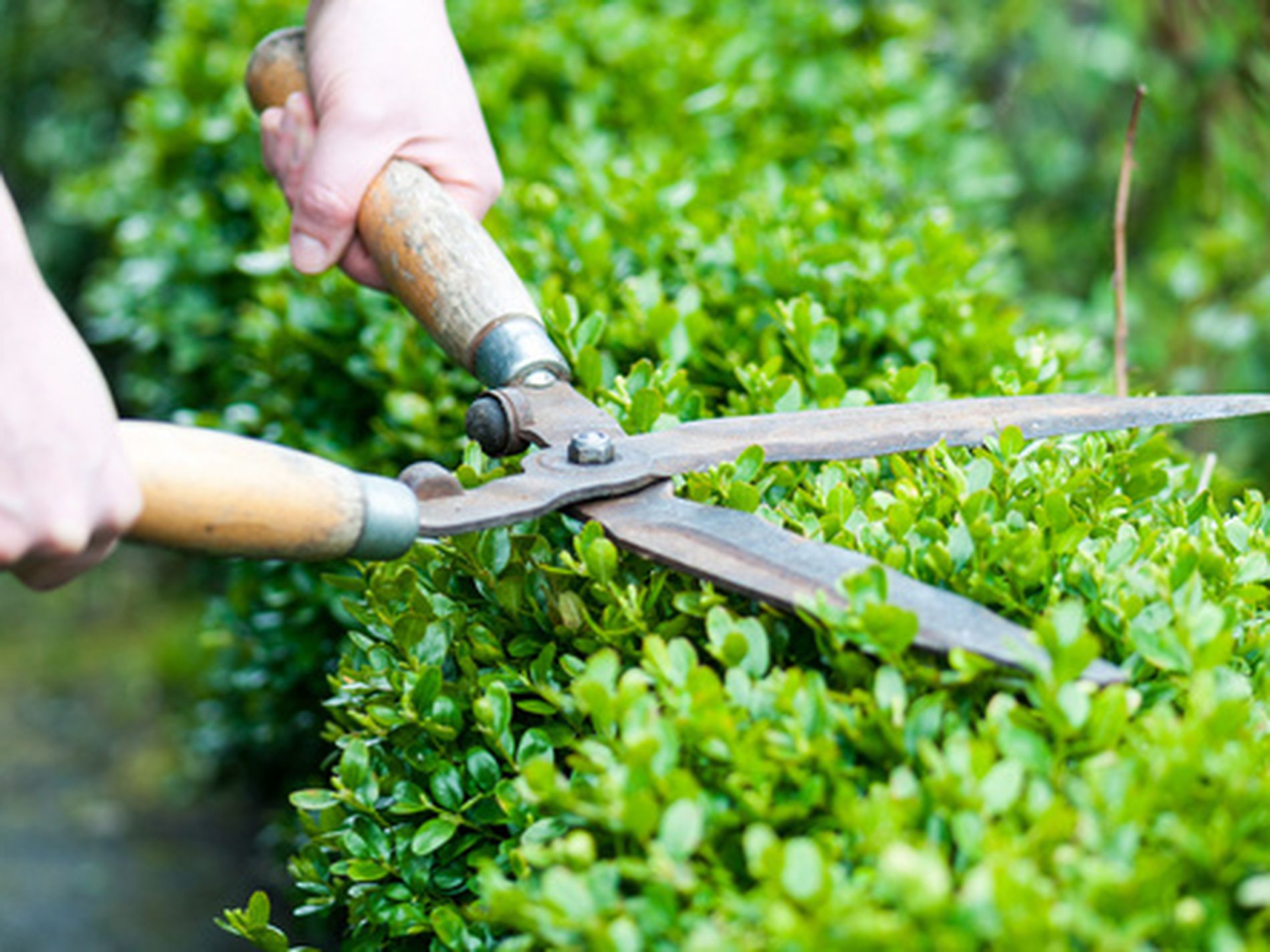 Long established Gardening and Mowing Business for sale