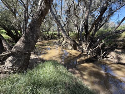 2255 Newell Highway, Tichborne