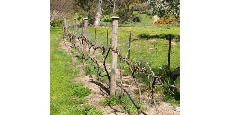 Galls Gap Road, Euroa