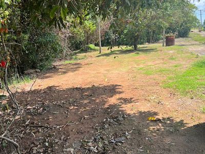 264 NEWMAN ROAD, Sandy Pocket