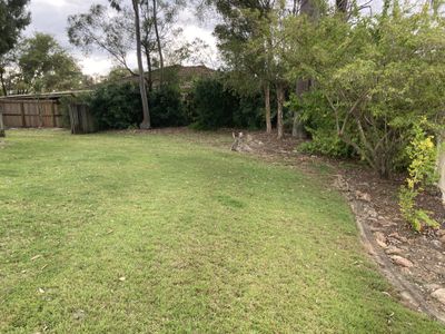 61 Equestrian Drive, Yamanto