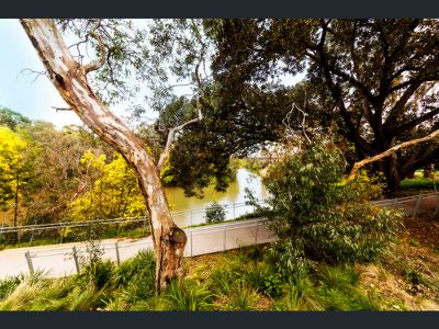 320 / 20 Shamrock Street, Abbotsford