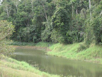 Yungaburra
