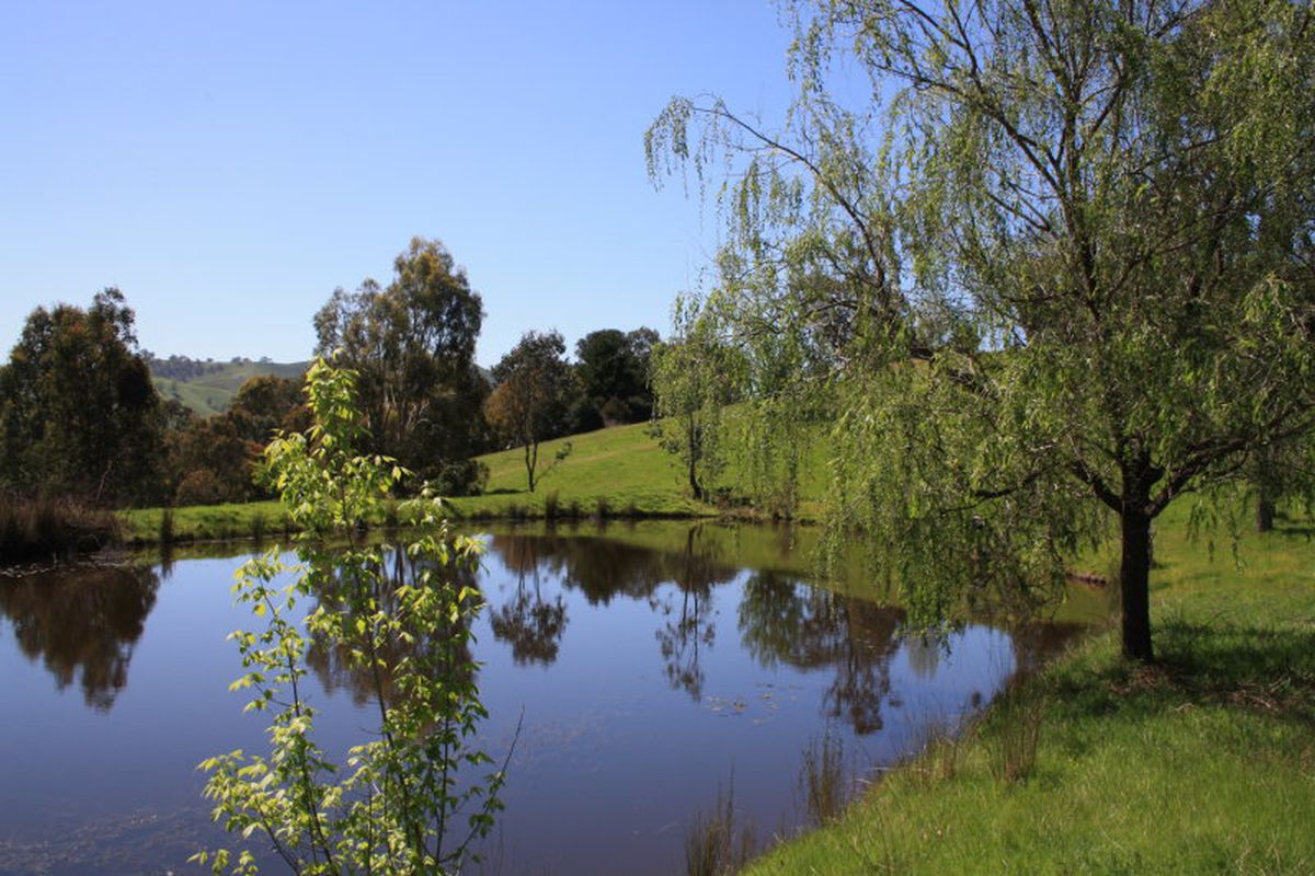 3147 Maintongoon Road, Bonnie Doon