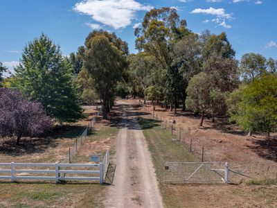 1047 Great Alpine Road, Tarrawingee