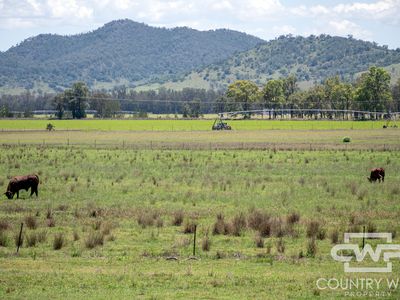 9699 Bruxner Highway, Bonshaw