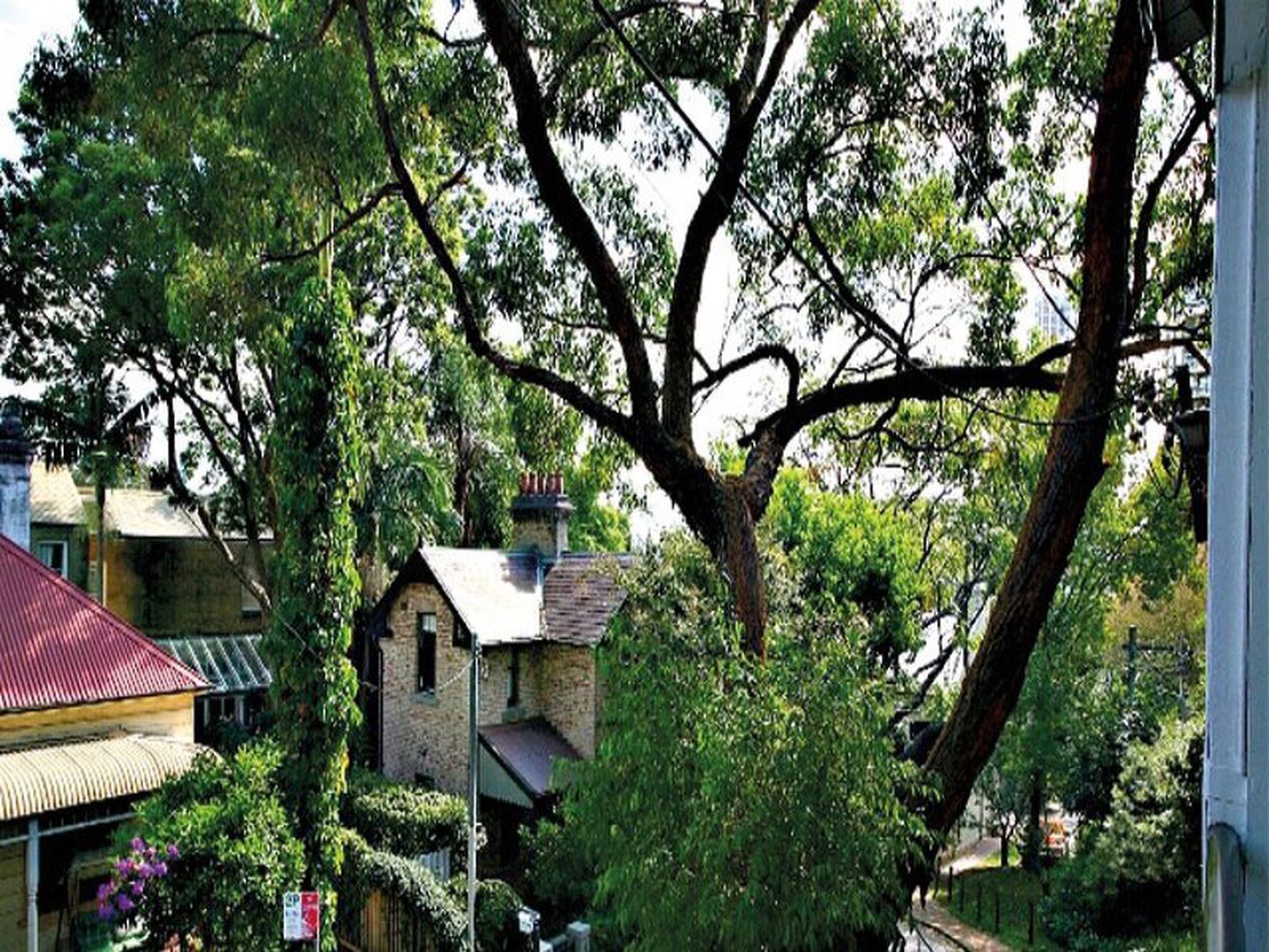 5 Great Thorne Street, Edgecliff