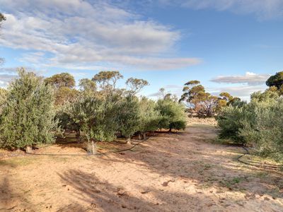 Lot 71 Old School Drive , Peake